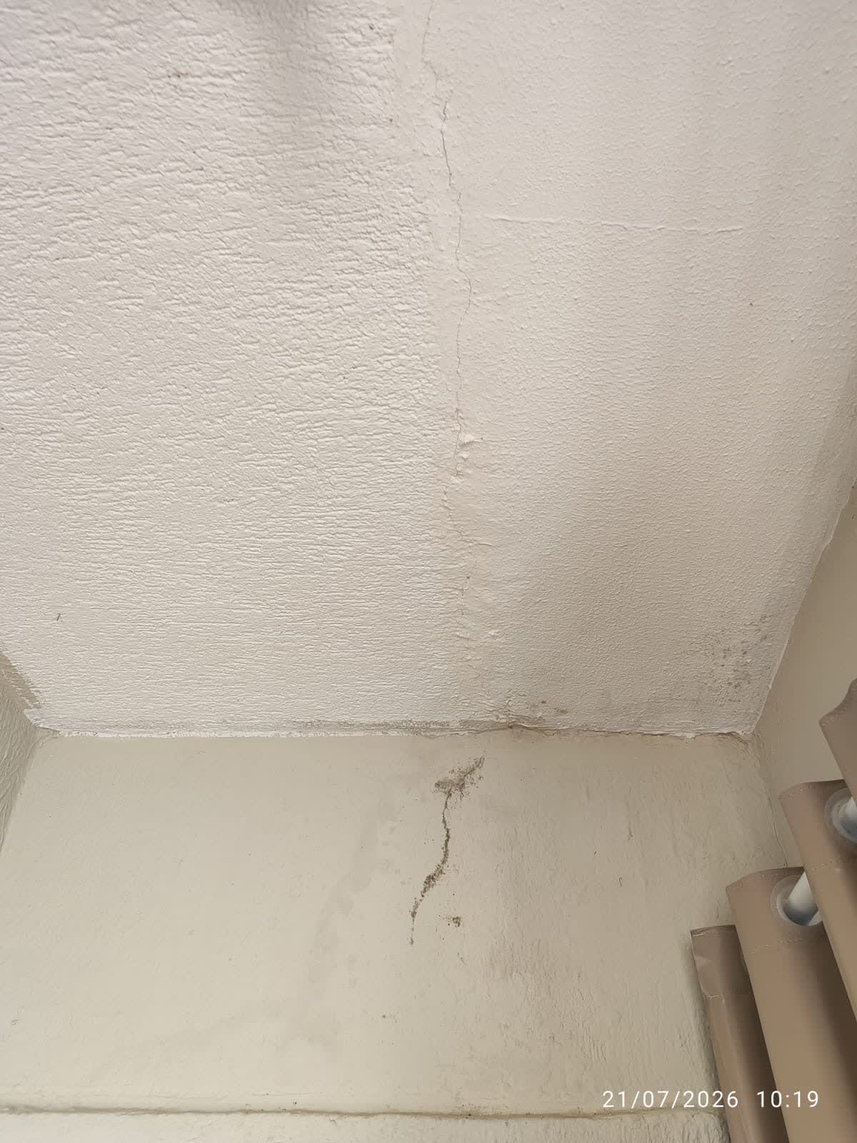 Termografia infravermelha